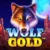 Wolf Gold
